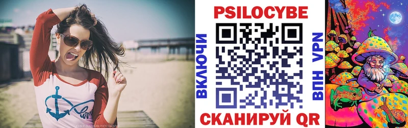 Галлюциногенные грибы Psilocybe  что такое   Новоузенск 